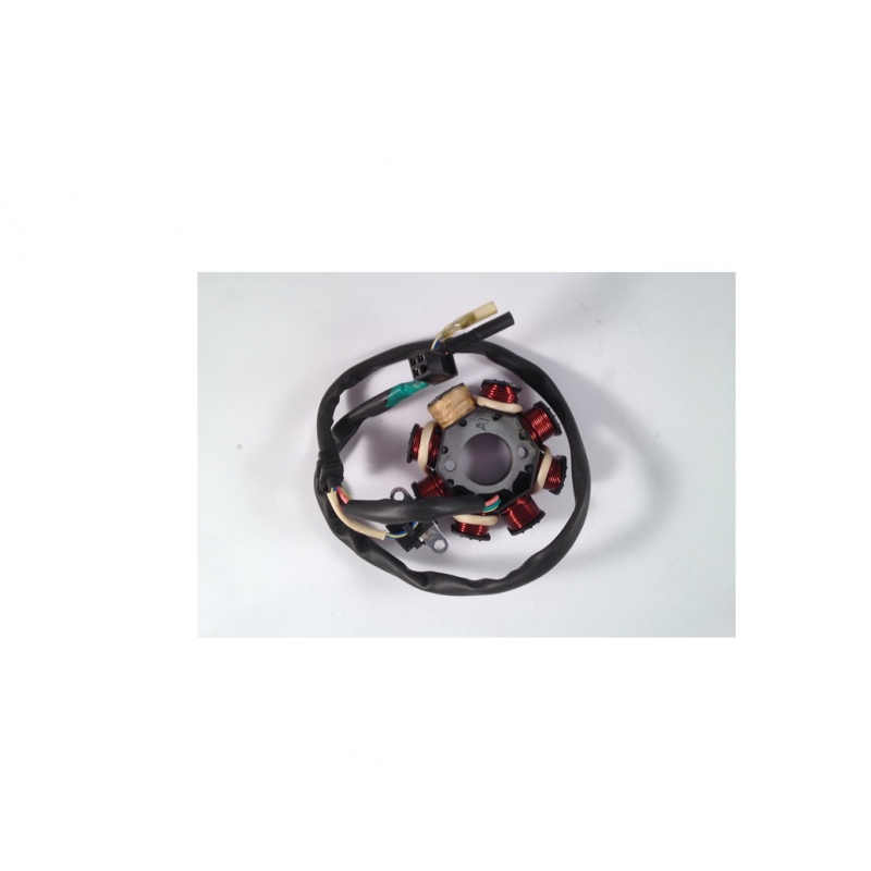 Hammerhead 150GTS Buggy Magneto Stator 