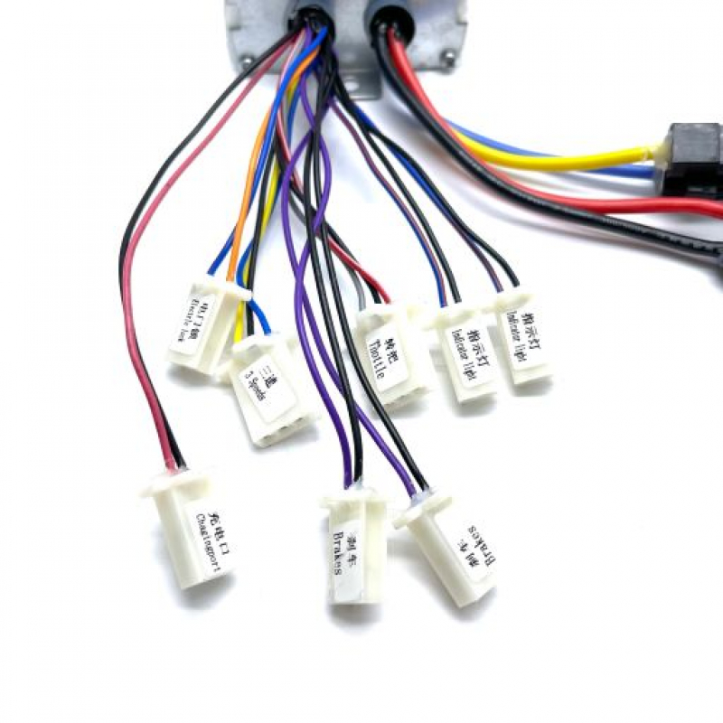 1000W Go Kart Controller - For Pre 2019 Model