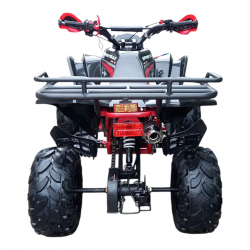 110RR Apollo Junior Quad Bike - Automatic - Fully Built