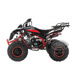 125RR Junior Quad Bike (With Reverse)