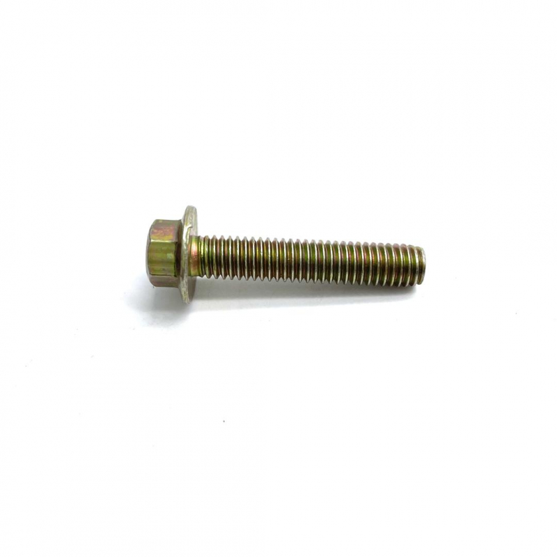 Bolt (M6 x 30mm) - RFZ Jaguar