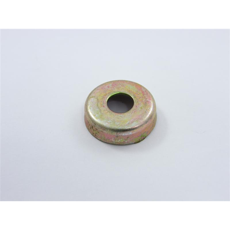 LOWER SUSPENSION ARM DUST CAP