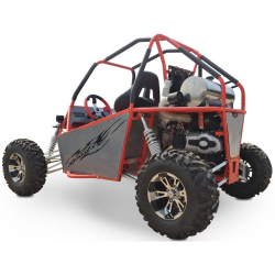 300cc Renegade DX10 Adults Off Road Buggy