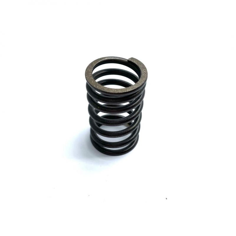 Outer Spring, Valve - RFZ 125cc Jaguar