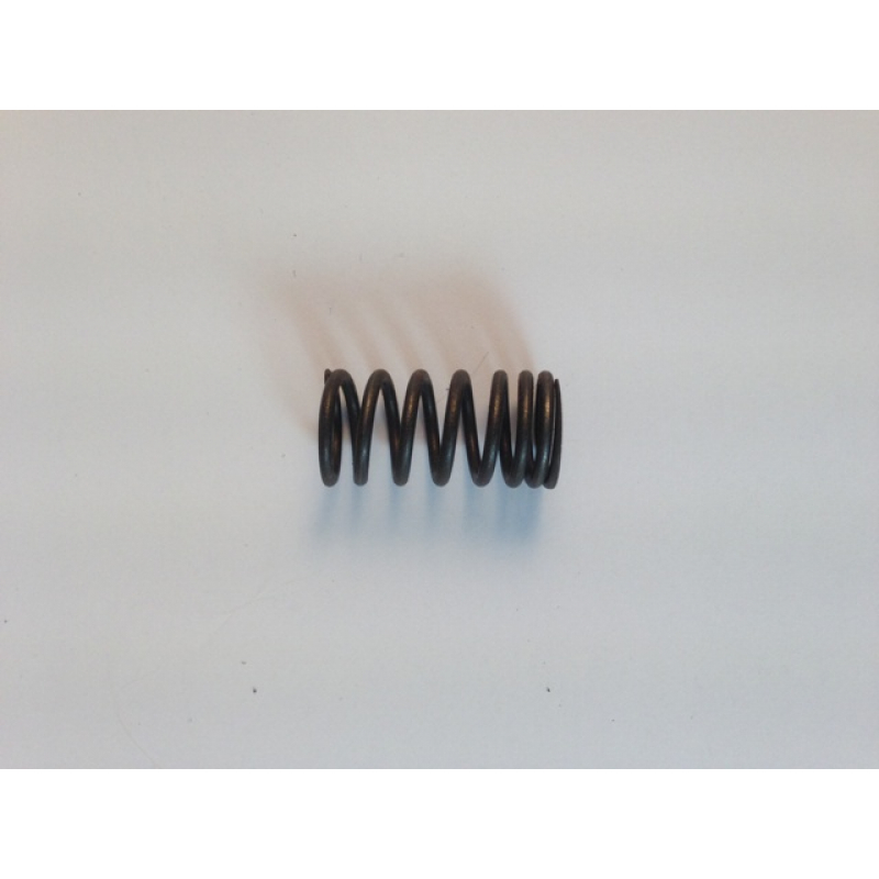 Inner Valve Spring