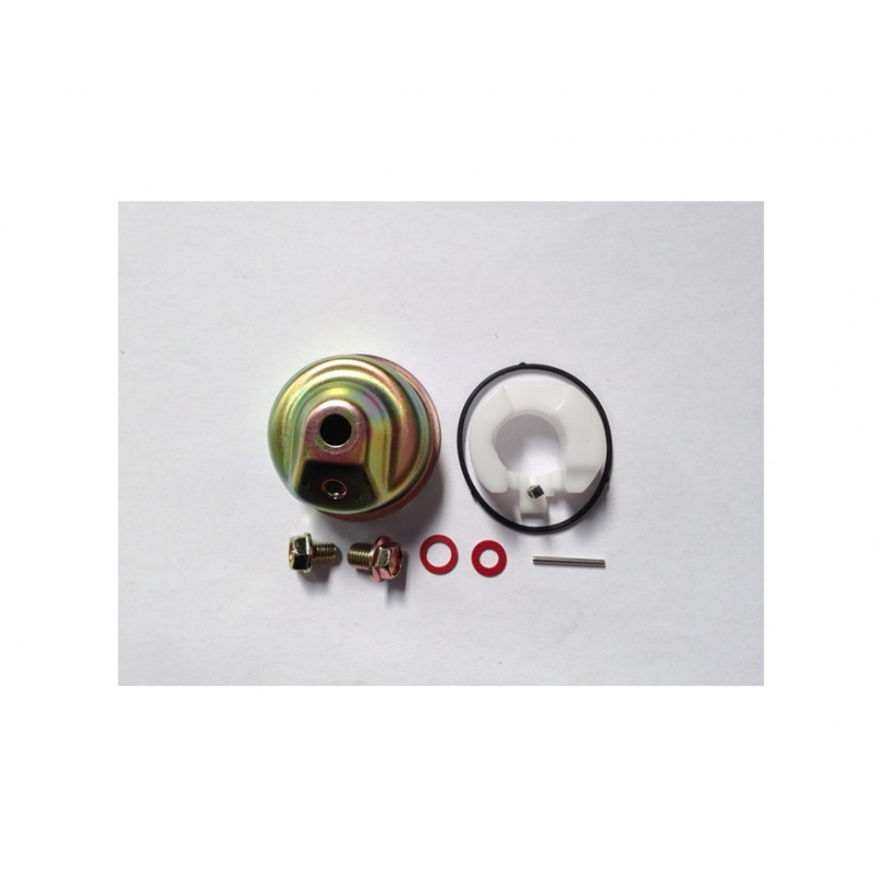 Carburetor Repair Kit