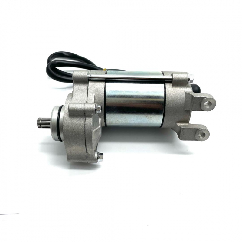 Starter Motor Assembly - RXF 190cc Freeride