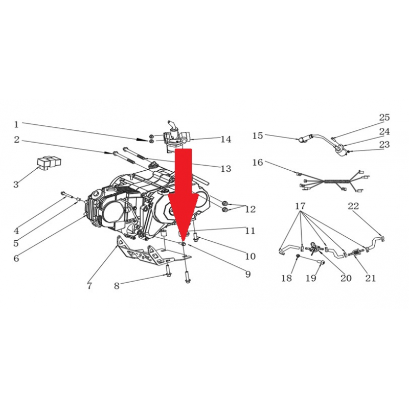 Bolt - RFN Thunder Pro 110cc Dirt Bike