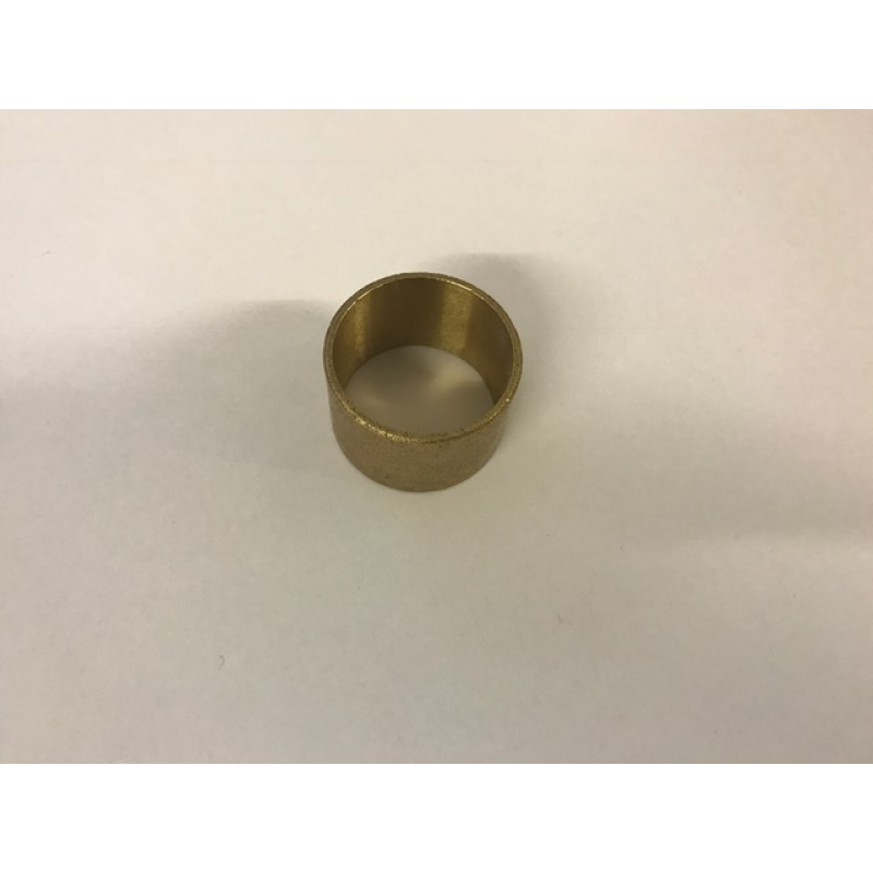 Bronze Bush 