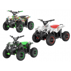 Bundle Deal! 1000w Electric Quad 