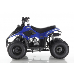 BUNDLE DEAL! MIKRO 70cc KIDS QUAD - BLUE