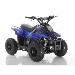 BUNDLE DEAL! MIKRO 70cc KIDS QUAD - BLUE