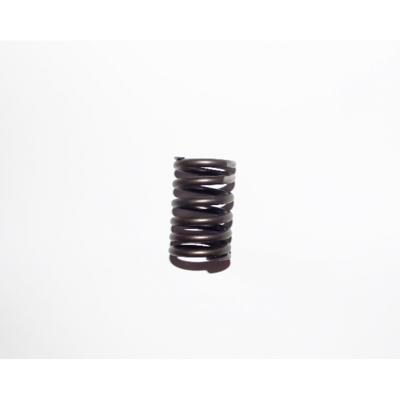 VALVE SPRING