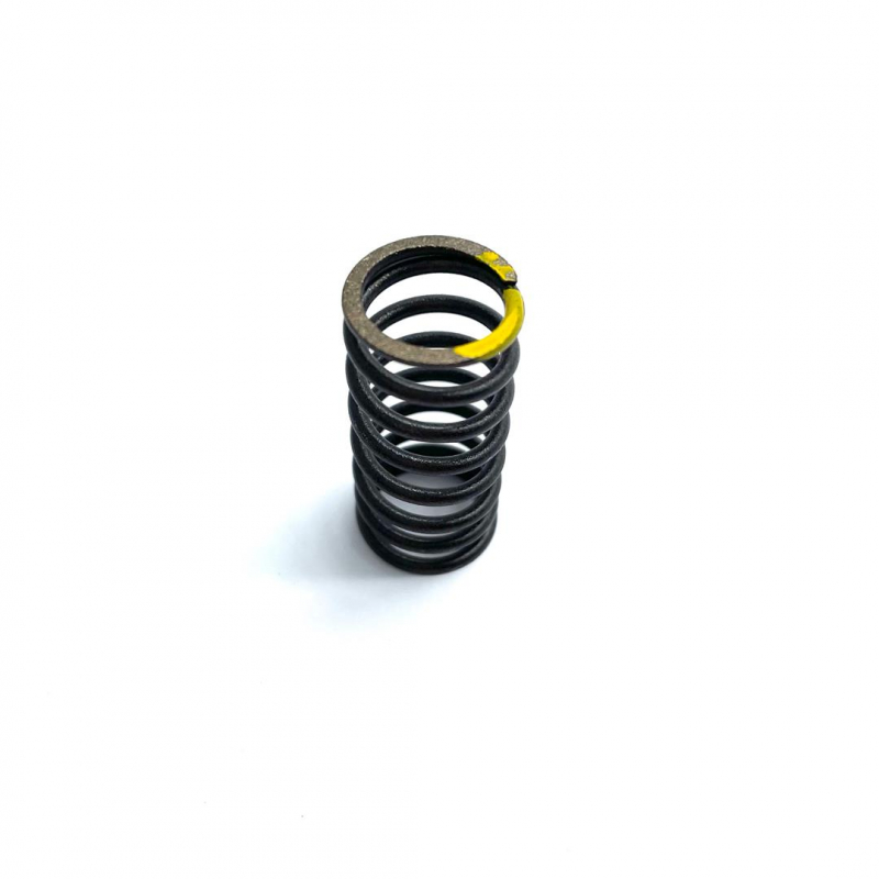 Inner Spring, Valve - RFZ 125cc Jaguar