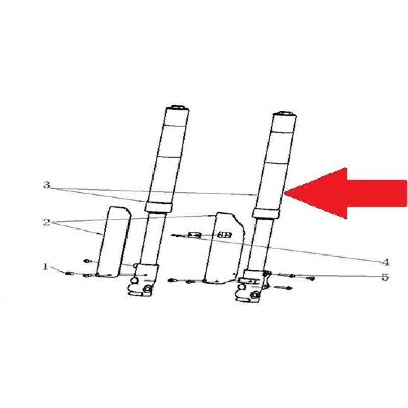 Front Fork Assembly - RFN Thunder Pro 110cc Dirt Bike