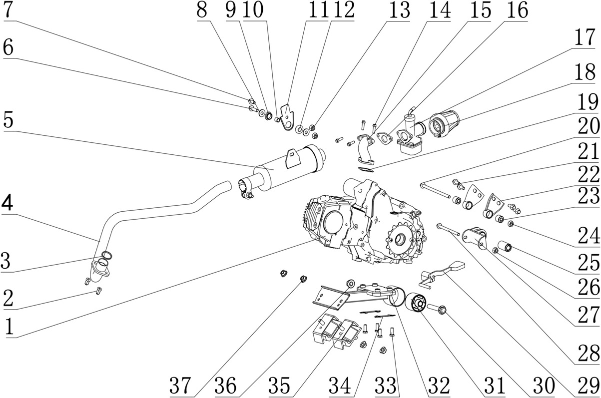 Engine, Carburettor & Exhaust