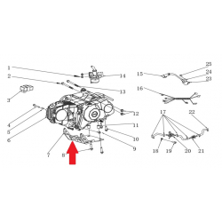 Engine Guard - RFN Thunder Pro 110cc Dirt Bike