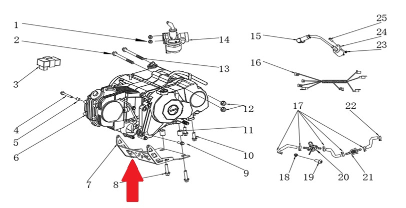 Engine Guard - RFN Thunder Pro 110cc Dirt Bike