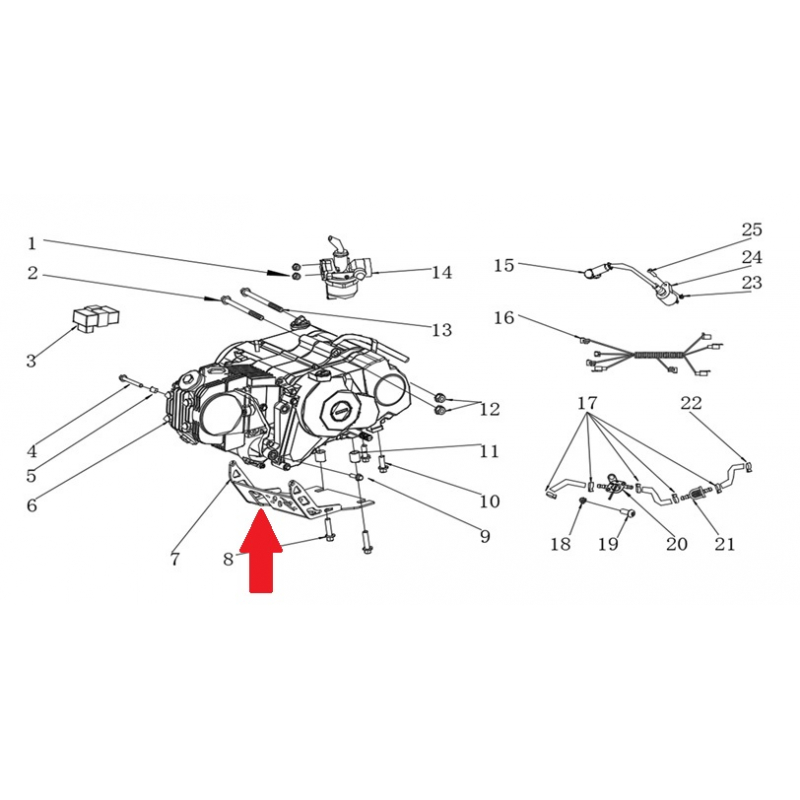 Engine Guard - RFN Thunder Pro 110cc Dirt Bike