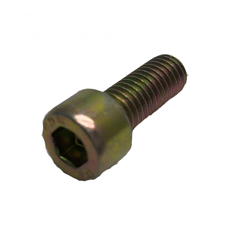 Engine Mounting Bolt