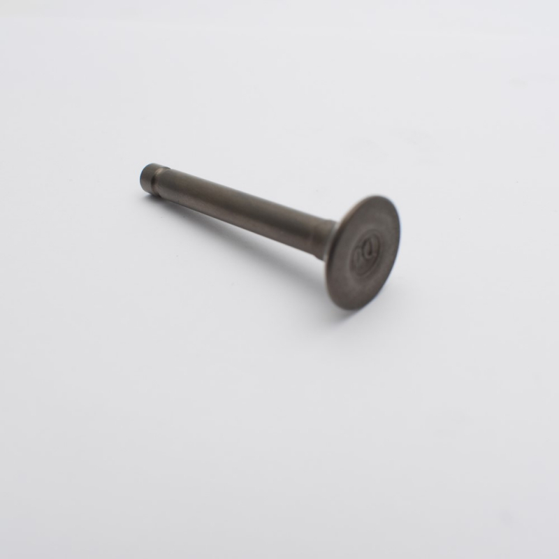 Exhaust Valve - Panther 110cc Quad Bike