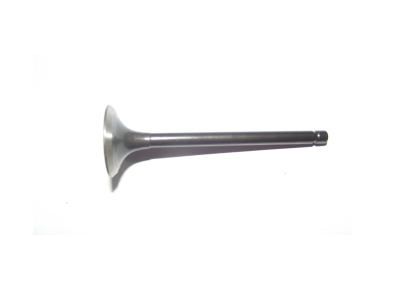 EXHAUST VALVE