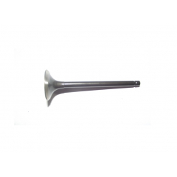 Exhaust Valve