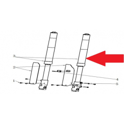 Front Fork Assembly - RFN Thunder Pro 110cc Dirt Bike