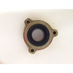 hammerhead 150 buggy rear axle bearing housing & seal