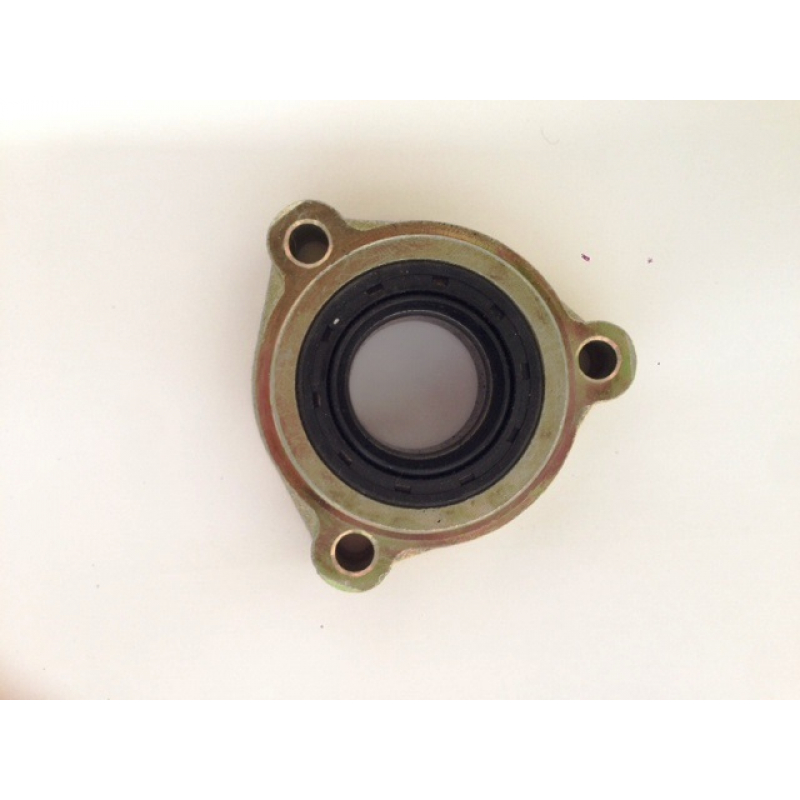 hammerhead 150 buggy rear axle bearing housing & seal