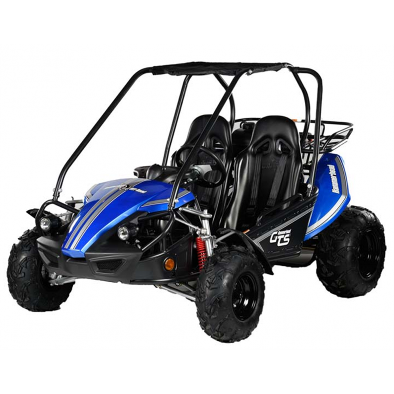 Hammerhead GTS150 Off Road Buggy - Black & Blue - Front Side View