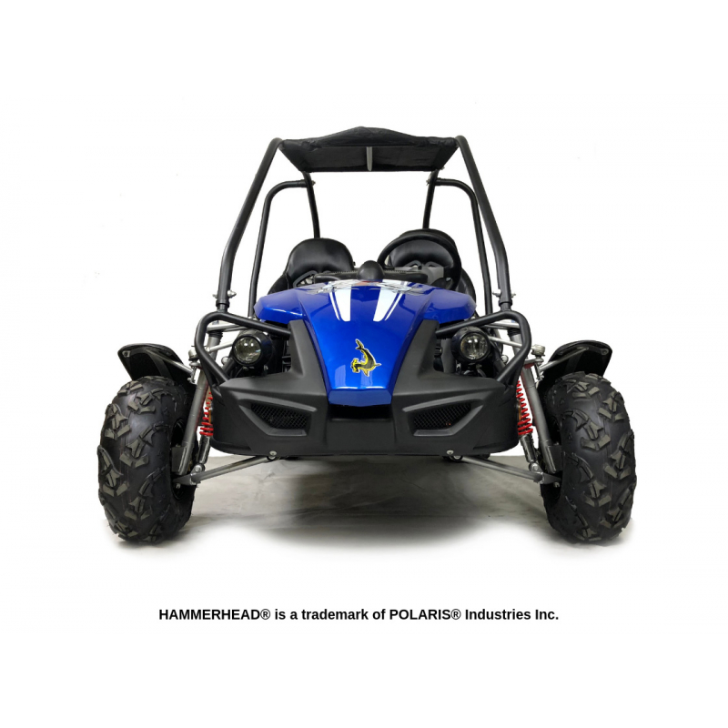 Hammerhead GTS150 Off Road Buggy - Black & Blue - Front View