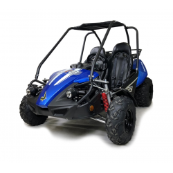 Hammerhead GTS150 Off Road Buggy - Black & Blue - Front View