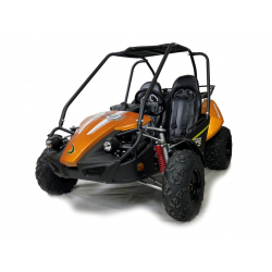 Hammerhead™ GTS150 Buggy with USA Specs - Orange