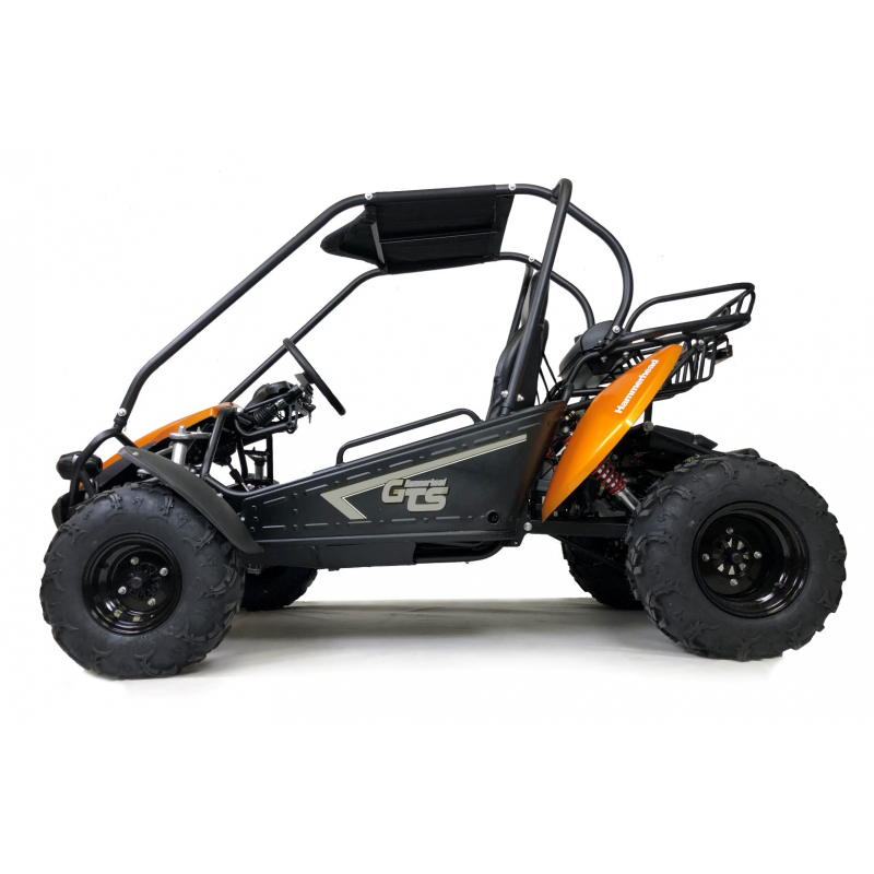 Hammerhead™ GTS150 Buggy with USA Specs - Orange