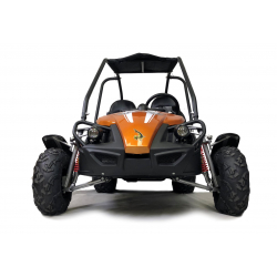 Hammerhead™ GTS150 Buggy with USA Specs - Orange