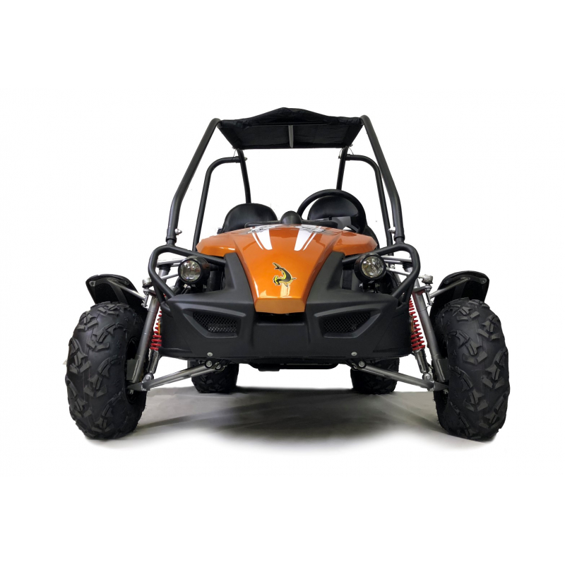 Hammerhead™ GTS150 Buggy with USA Specs - Orange