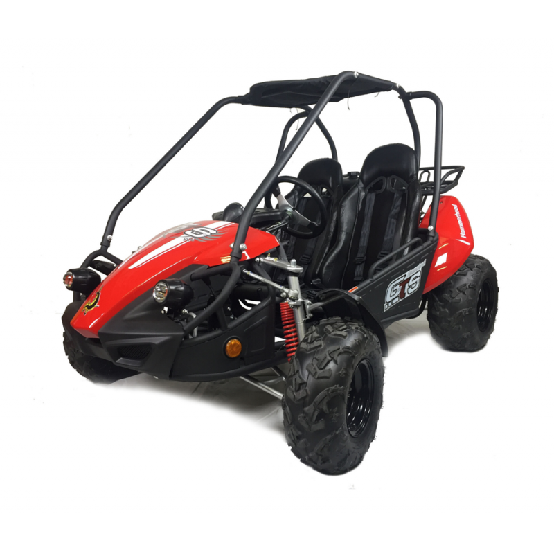 Hammerhead 150cc GTS Buggy Storm Buggies