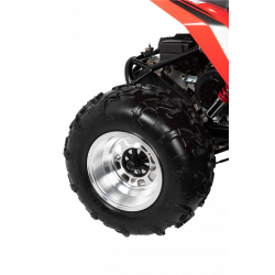 Hammerhead™ GTS150 LE Off Road Buggy - Red