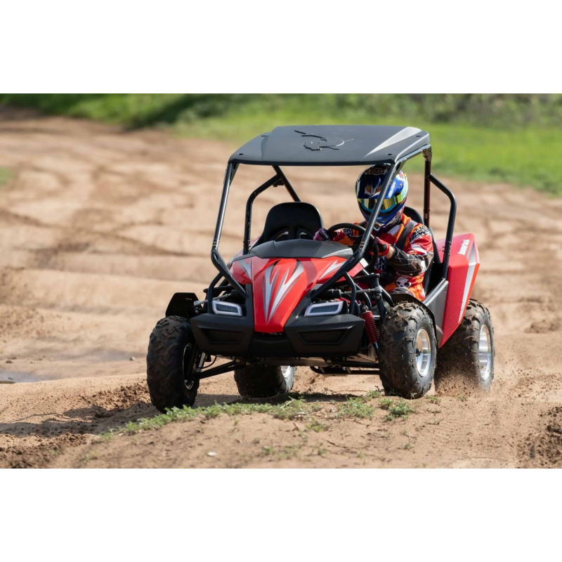 Hammerhead™ GTS150 LE Off Road Buggy - Black