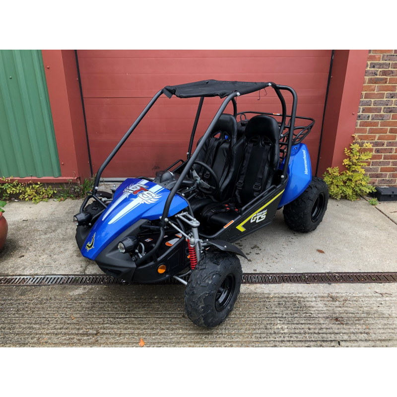 HAMMERHEAD GTS150 OFF ROAD BUGGY - BLUE (USED A COUPLE OF TIMES) 9/10 CONDITION