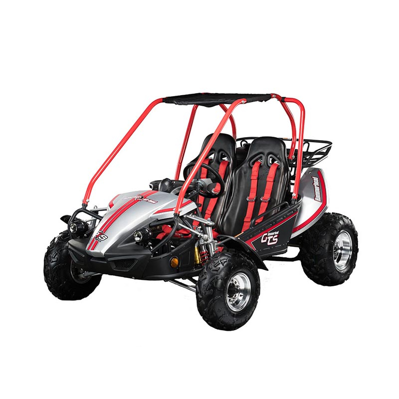 Hammerhead™ GTS150 Platinum 'Special Edition' Buggy