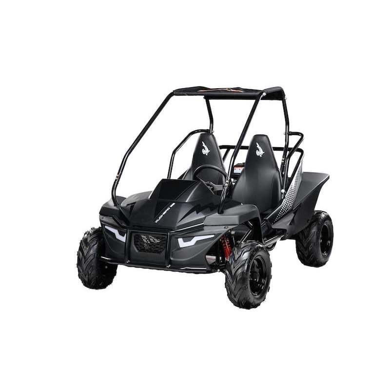 Hammerhead Mudhead SE Kids Off Road Buggy - Black