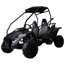 Hammerhead Mudhead&trade; 208R SE Reverse Kids Off Road Buggy - Black