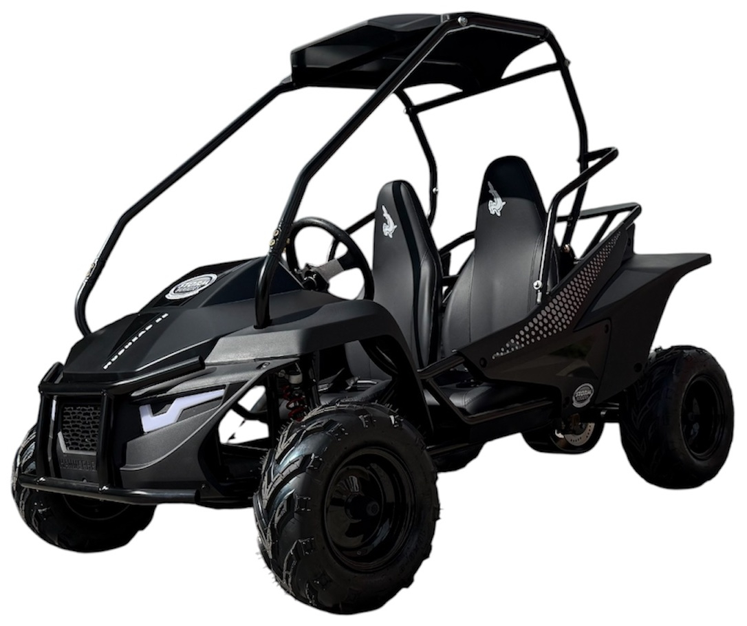 Hammerhead Mudhead&trade; 208R SE Reverse Kids Off Road Buggy - Black
