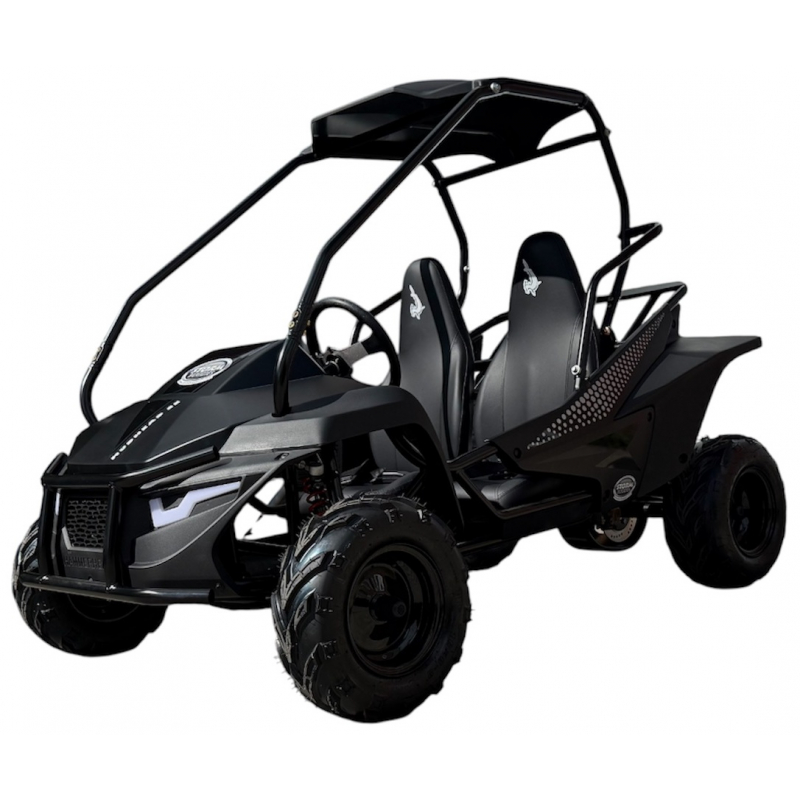 Hammerhead Mudhead&trade; 208R SE Reverse Kids Off Road Buggy - Black