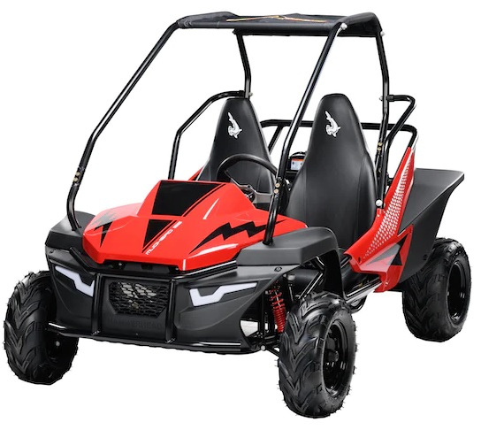 Hammerhead Mudhead™ 208R SE Reverse Kids Off Road Buggy - Red