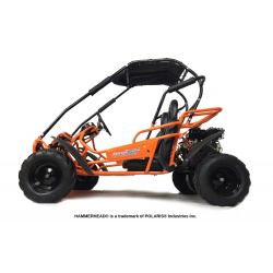 Orange Hammerhead Mudhead 208R Off Road Buggy - Side View