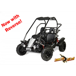 Black Hammerhead Mudhead 208R Off Road Buggy - Front Side View With Logo