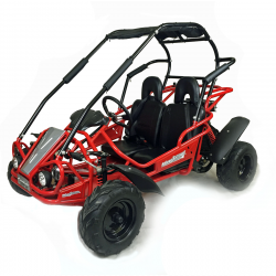 Red Hammerhead Mudhead 208R Buggy - Front Side View